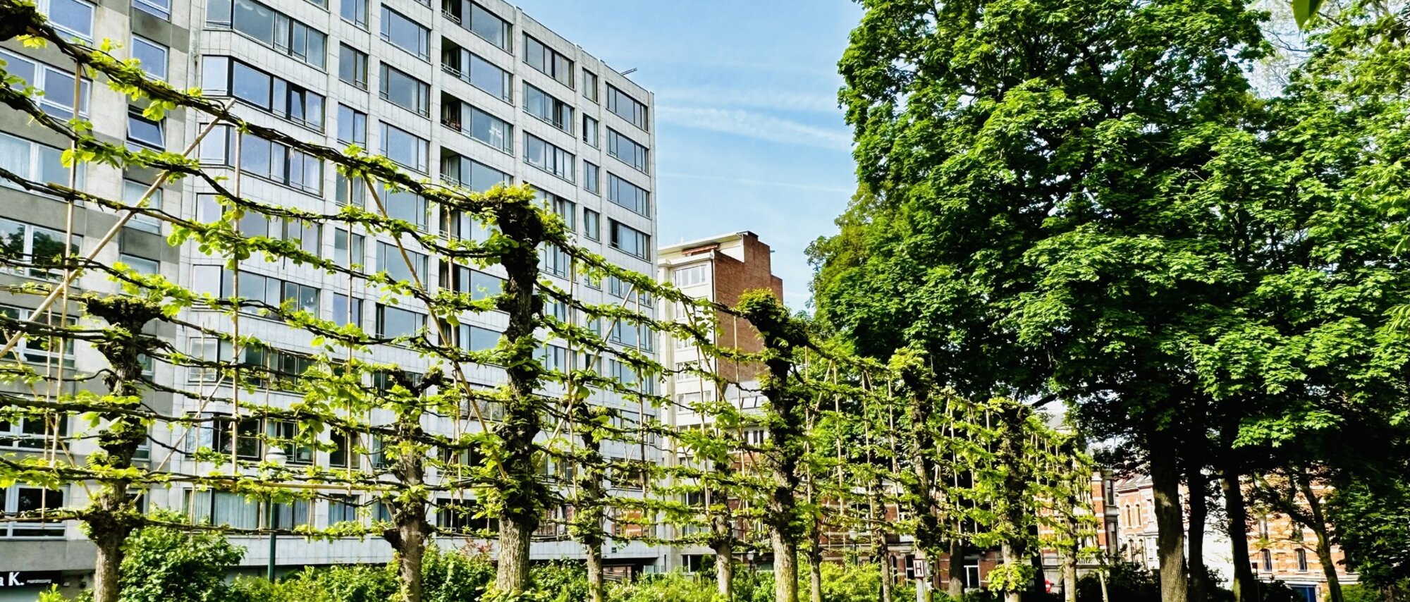 photo-1-ambiorix-40