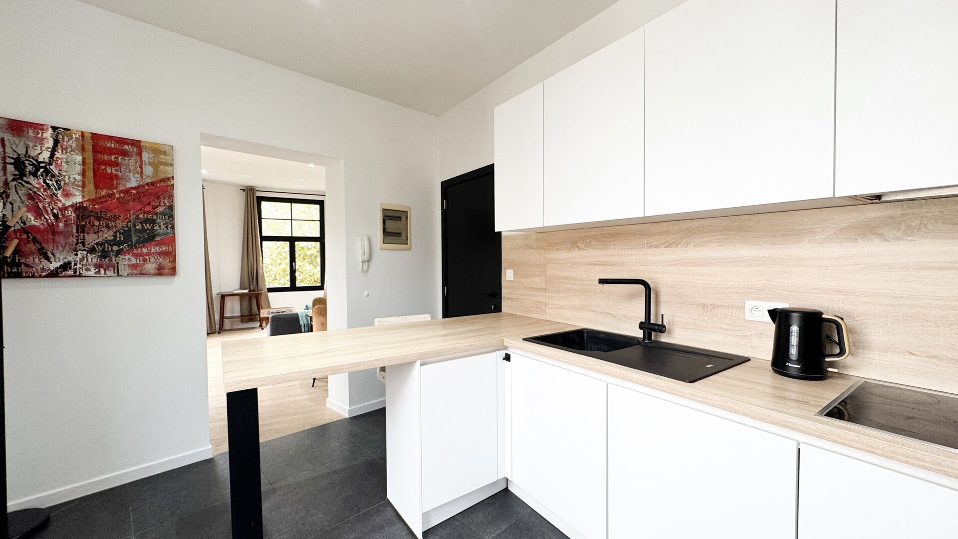 photo-6-superbe-appartement-meuble-1-chambre