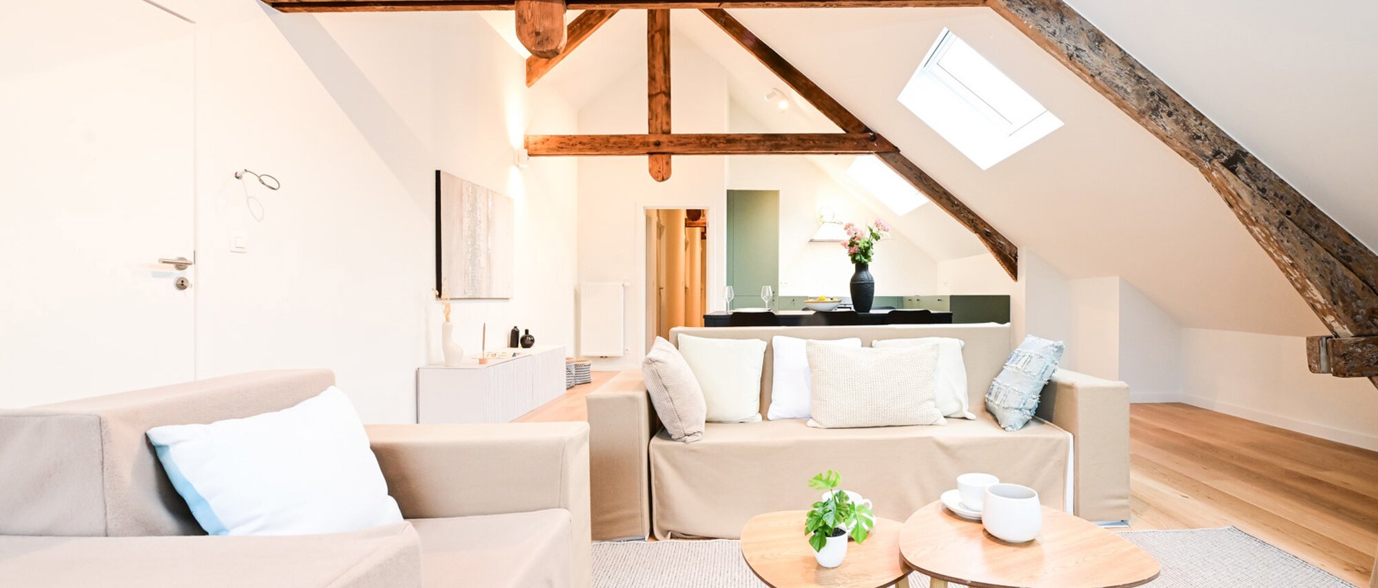 photo-1-magnifique-penthouse-5ch-2-sdb-terrasse-premiere-occupation