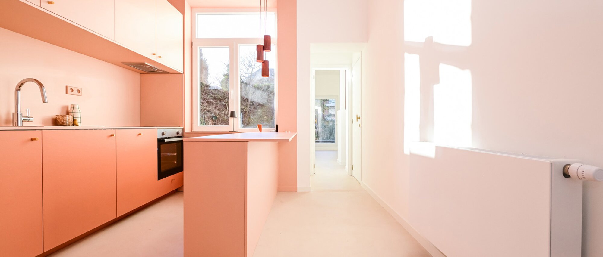 photo-1-magnifique-appartement-coup-de-coeur-totalement-renove