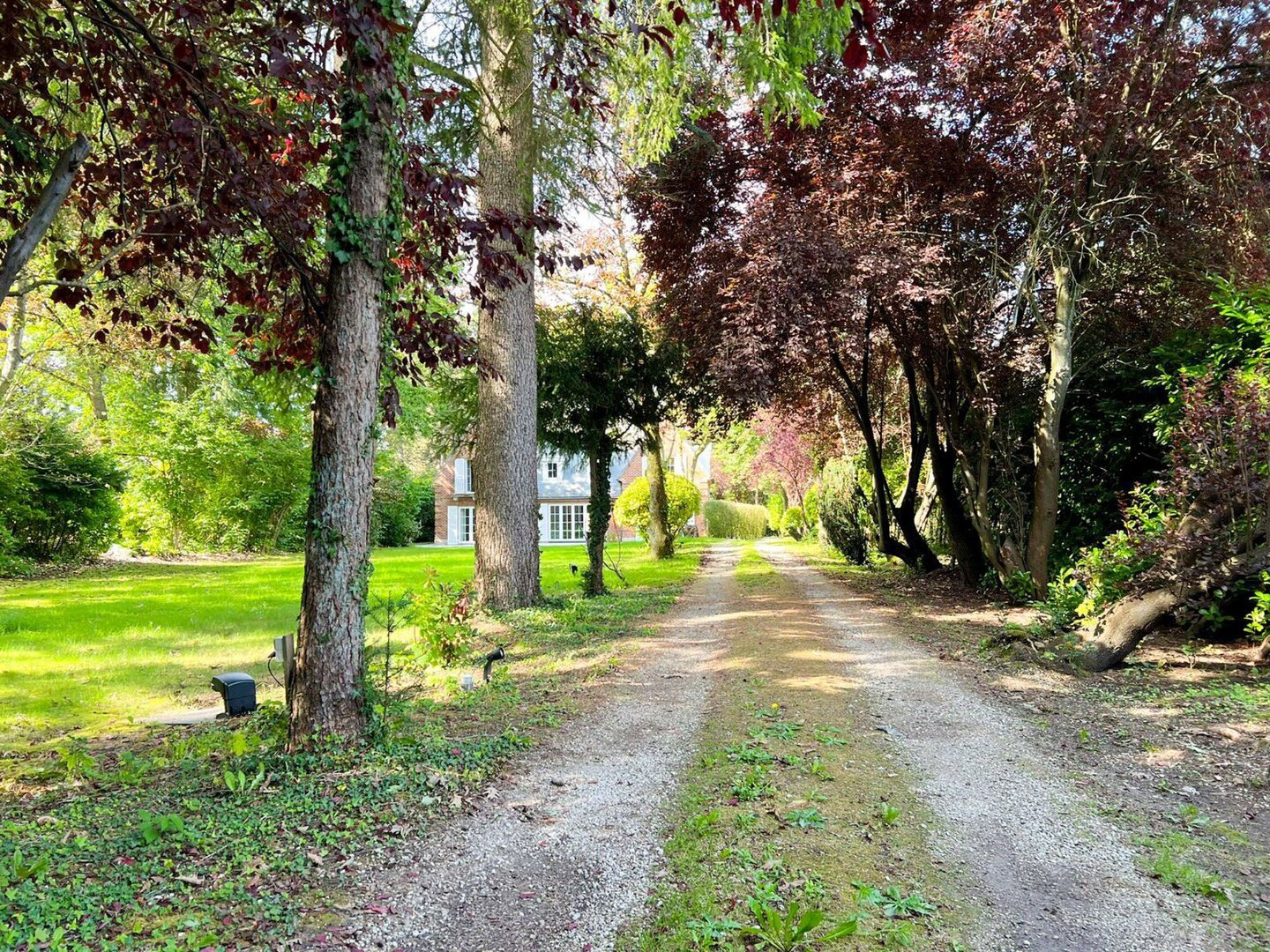 photo-27-magnifique-villa-6-ch-sur-un-domaine-33-ares