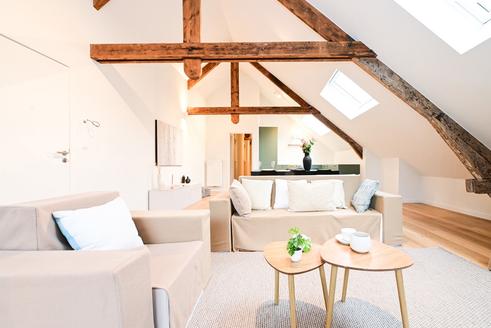 photo-1-magnifique-penthouse-5ch-2-sdb-terrasse-premiere-occupation