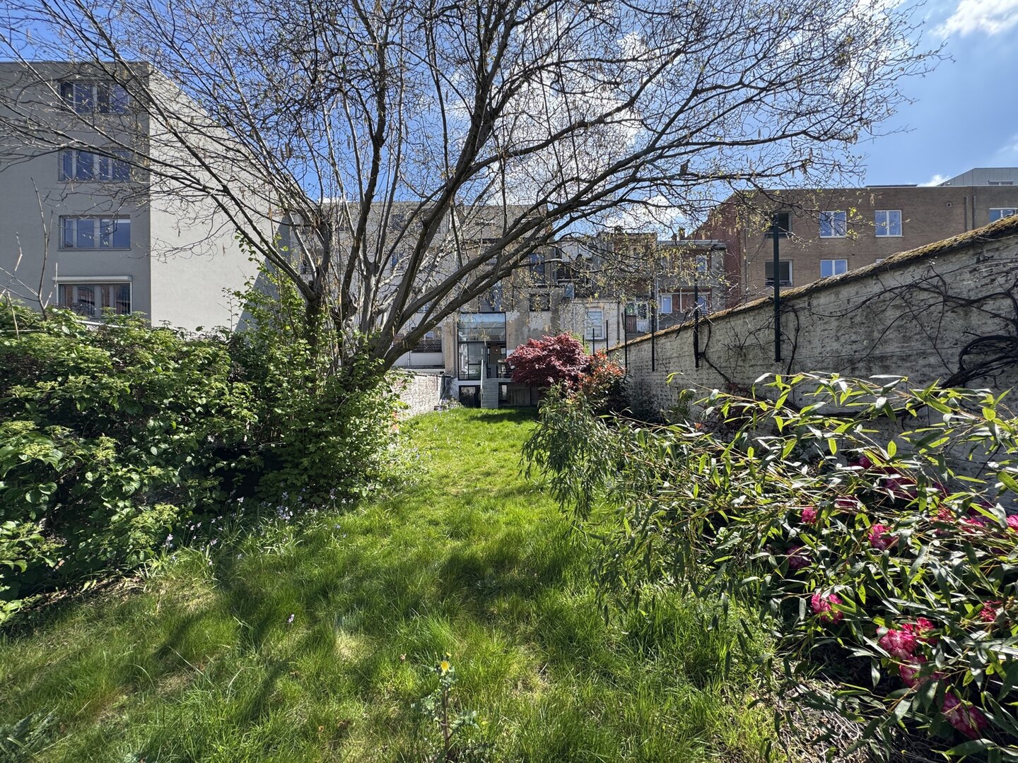 photo-30-magnifique-maison-de-maitre-5-ch-jardin-grenier-a-amenager