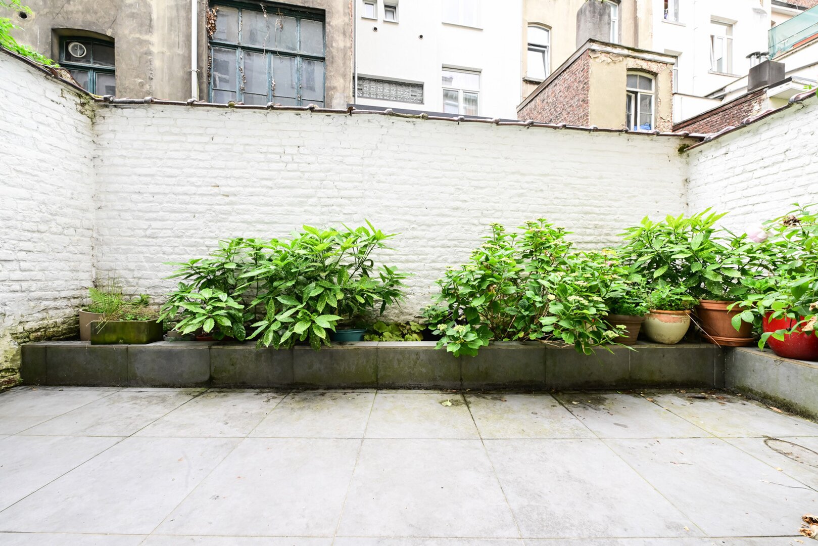 photo-15-rdc-commercial-amenage-en-app-1-ch-jardin