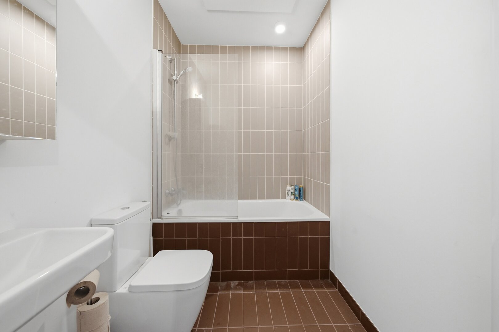 photo-21-magnifique-rdc-duplex-3-ch-3-sdb-cour